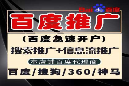 创新营销手段：百度包年竞价的未来趋势